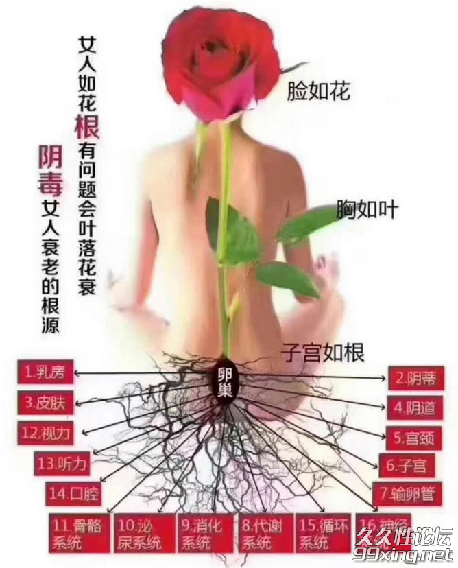 女子洗髓功.png