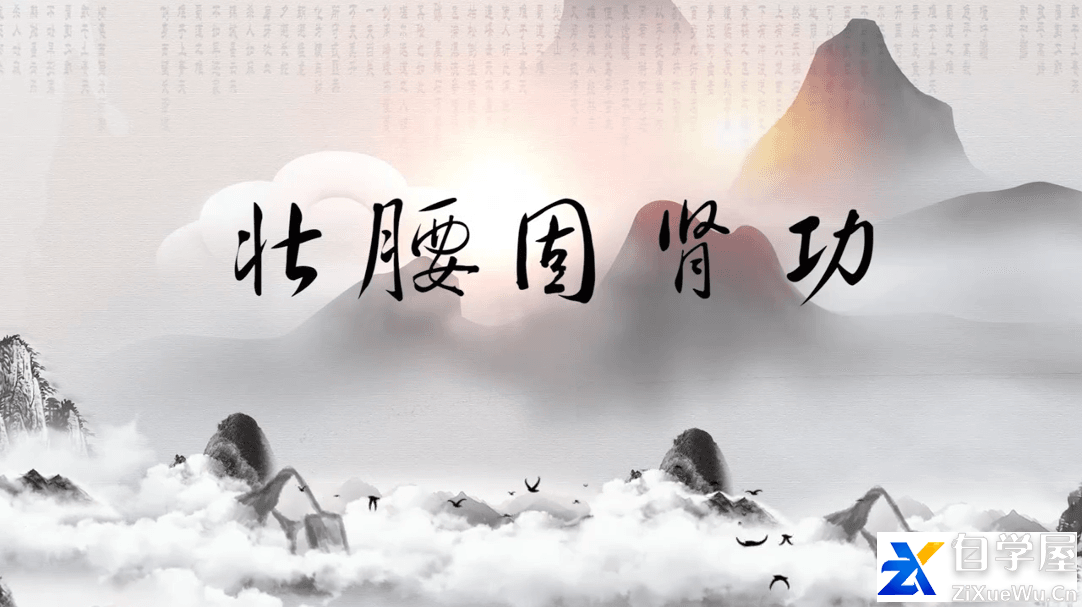 壮腰固肾功.png